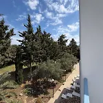 Lovely View *